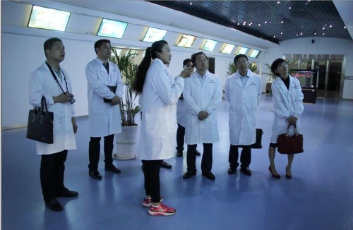 Stake(中国区)官方网站