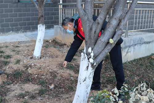 Stake(中国区)官方网站